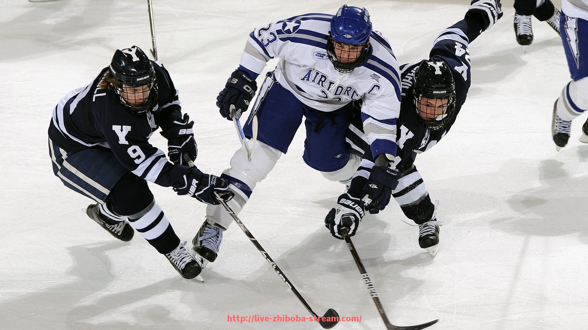 直播吧-英超联赛穆斯林球员数量及其文化适应情况