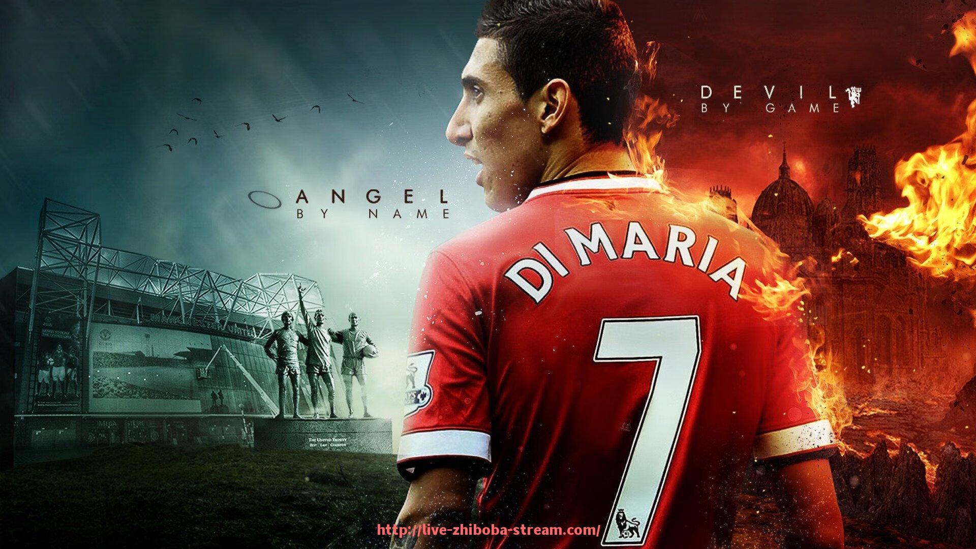 直播吧-健身器材360度全方位体验：选择适合的器材进行全面锻炼