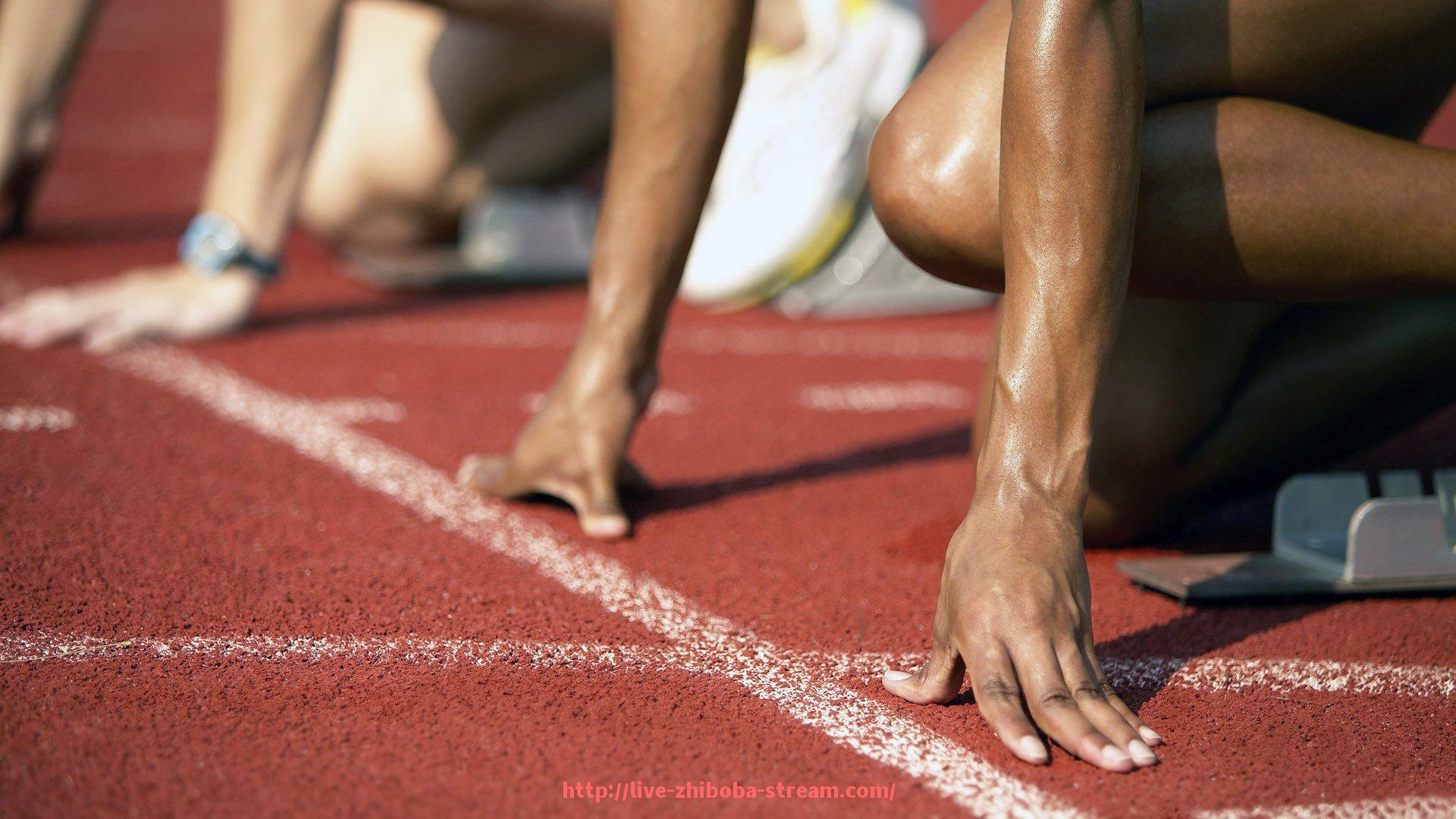 直播吧-世俱杯赛事现场安保人员职责分配及协作机制